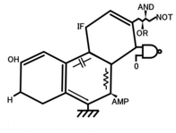 Logo of Kawane SNS.